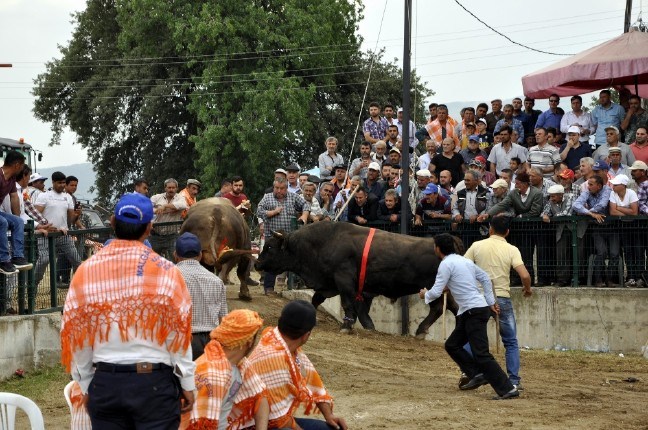 17-05/23/90f3a3ce-6328-4fe4-83f5-a3d95b2d07f5