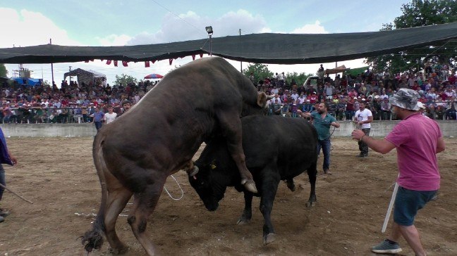 17-05/23/b33664cd-f7ba-47e5-ba21-adcf71b8c4c2