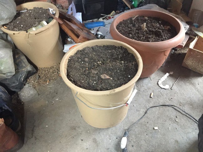 17-05/27/1-1495886406