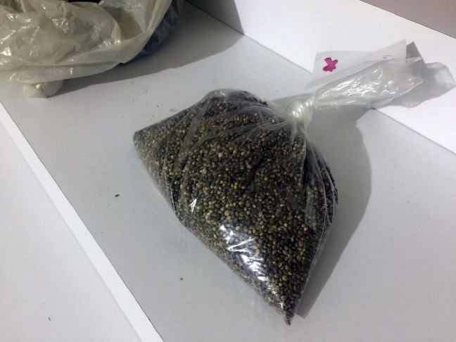 17-05/27/2-1495886416