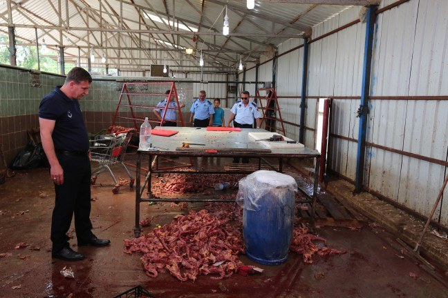 Sakarya�da mide bulandıran görüntüler