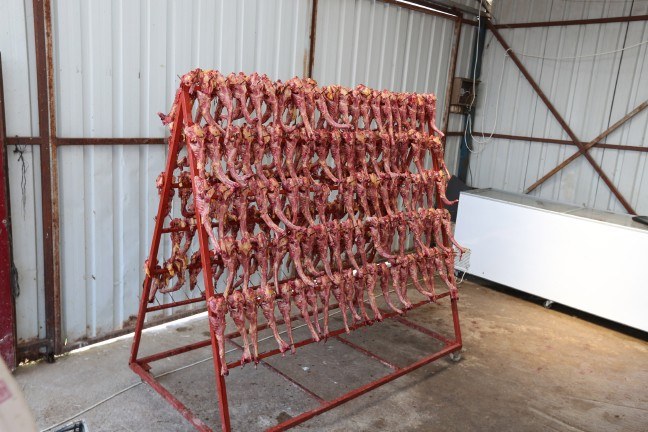 Sakarya�da mide bulandıran görüntüler