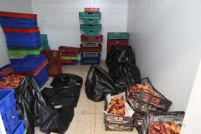 Sakarya�da mide bulandıran görüntüler