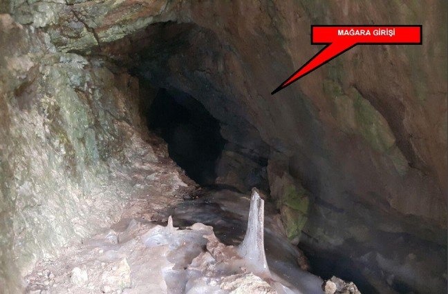 17-06/05/1-1496653636