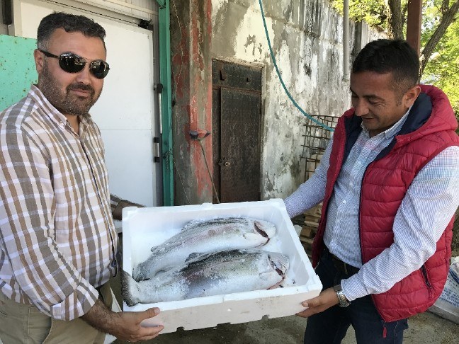 17-06/05/b61aa60c-e75c-4bdd-b927-3d4ba522b8a2