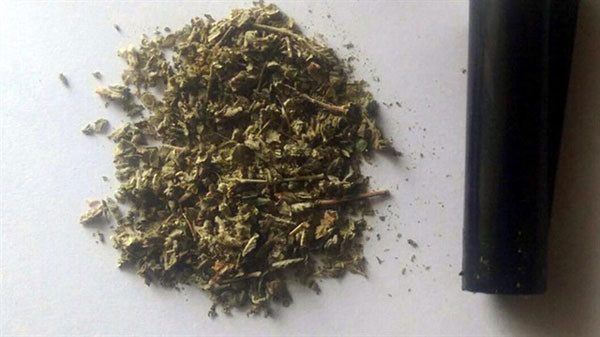 17-06/17/fft16_mf9331430