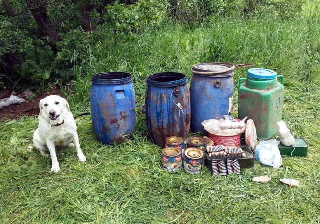 17-06/27/59522d7a61361f1724c0a56b