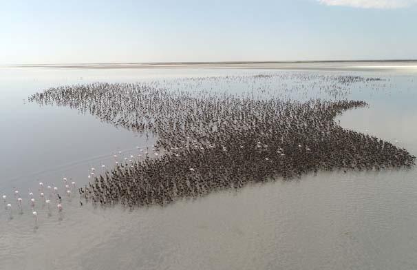 17-07/01/2-1498906487