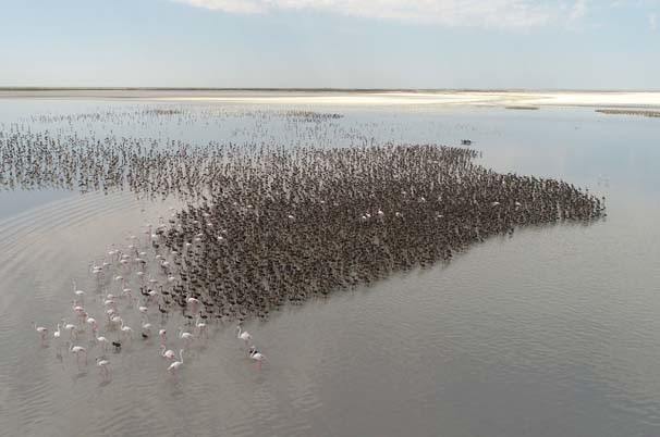 17-07/01/3-1498906495