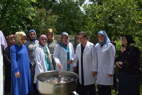 17-07/04/3-1499170234