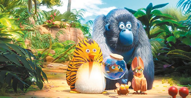 17-07/28/28kr02-orman-cetesi