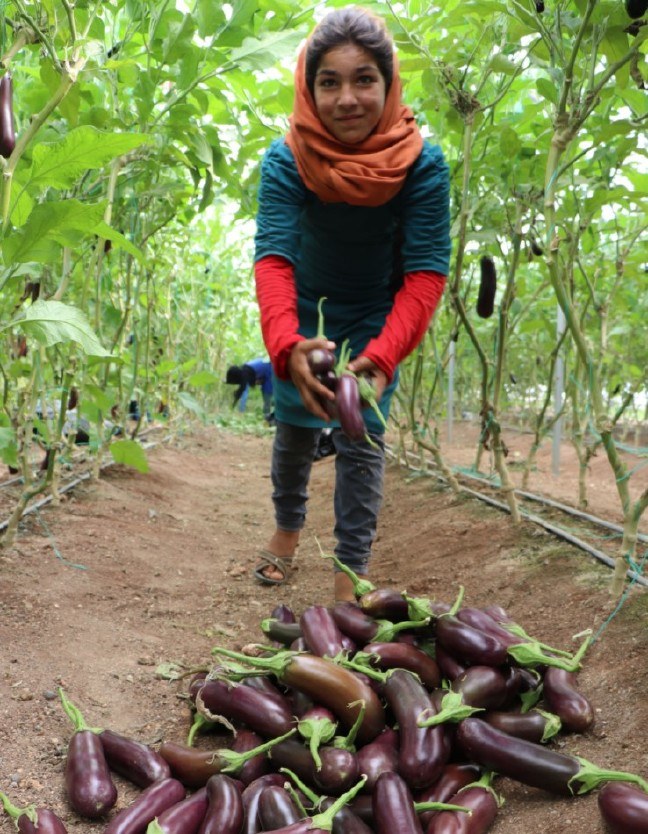 17-07/30/1-1501397766