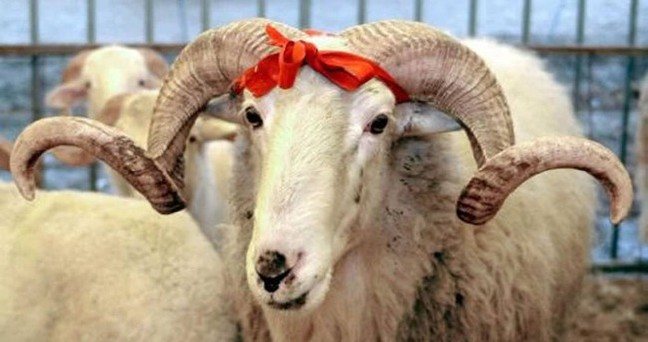 17-08/06/1471012400148