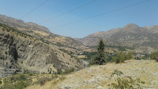 17-08/09/1-1502265814