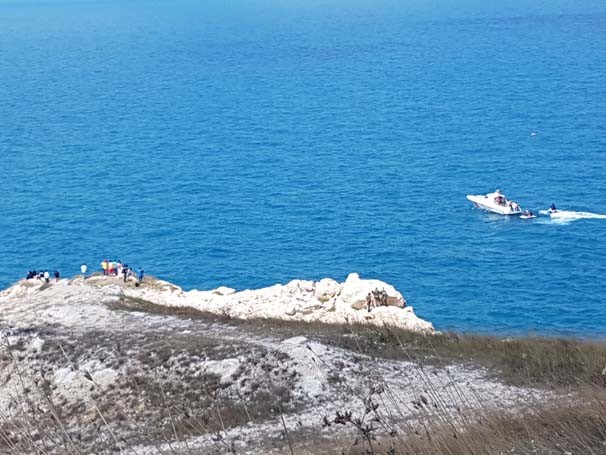 17-08/11/kurbaga-adamlar-furkan-i-karadeniz-de-de-ariyor-9659936