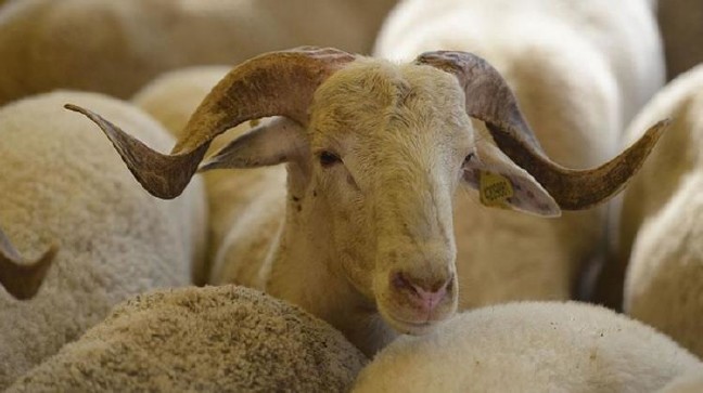 17-08/15/mctwo_1502263718_7686