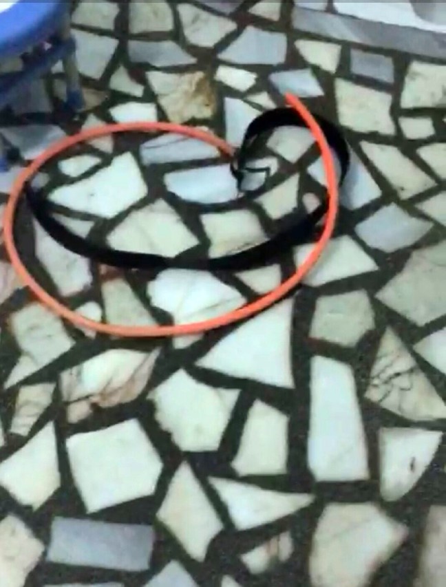 17-08/17/2-1502973893