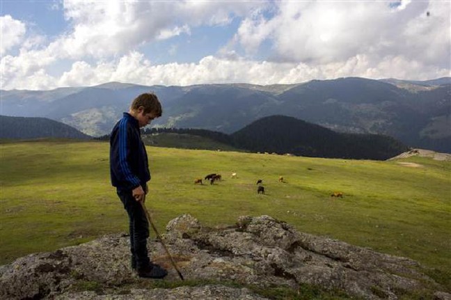 17-08/23/599d805e0f25442a20403510