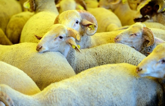 17-08/27/370080c7-f618-466b-910d-14251f534739-1503829781