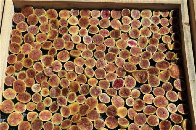 17-09/04/59ad1d242269a215f08c03a8