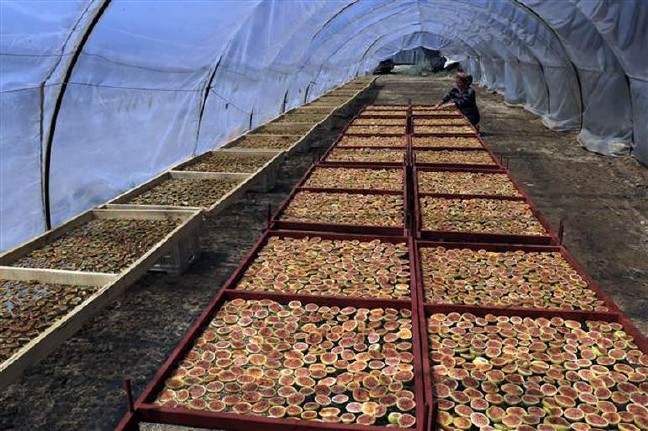 17-09/04/59ad1d242269a215f08c03a9