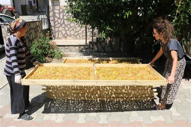 17-09/04/59ad1d4c2269a215f08c03ac