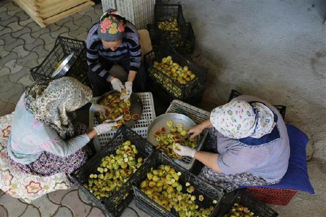 17-09/04/59ad1d5e2269a215f08c03ae