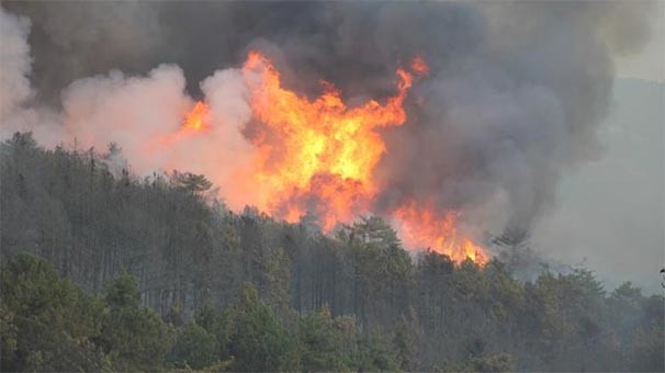 17-09/11/kutahya-da-orman-yangini-sondurme-calismalari-suruyor-9840672