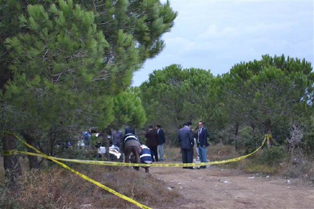 17-09/29/59cea3312269a3098c5e22a7