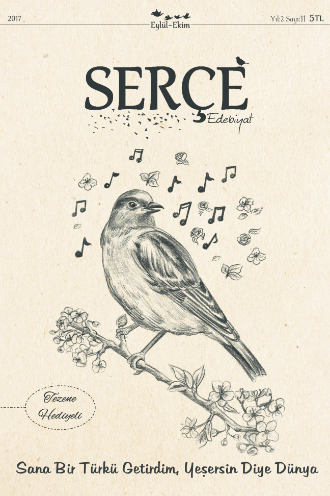 17-10/04/1-1507147016