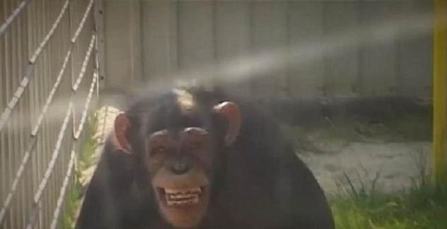 17-10/05/59d640e77af507499ccc1720