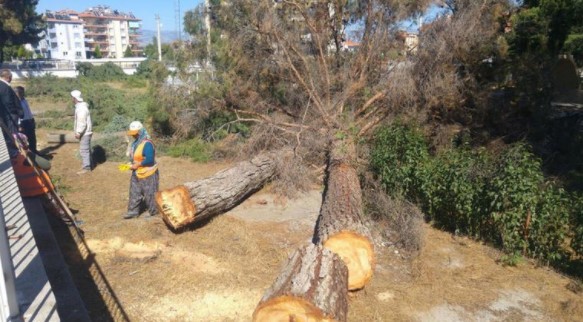 17-10/07/screenshot_1