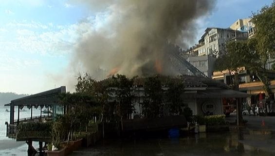 17-10/14/1671927_b036d2e1096ca4e25096b79af61c7457