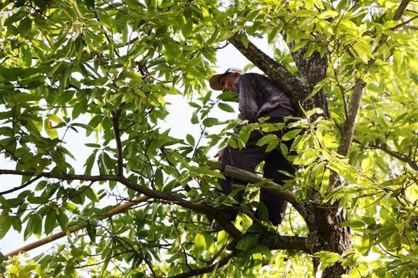 17-10/19/59e89cbd2269a20ca873644a