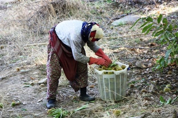 17-10/19/59e89cbd2269a20ca873644b