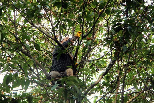 17-10/19/59e89cbd2269a20ca8736463