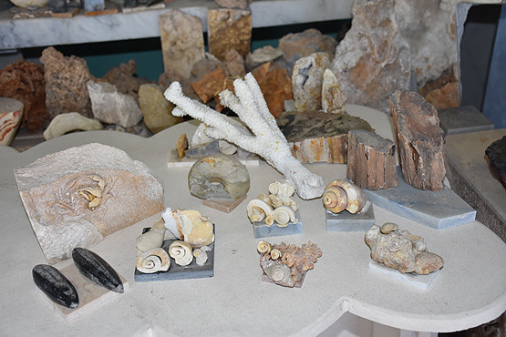 17-11/11/2-1510421212