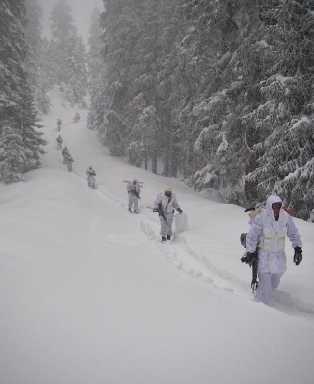 17-11/20/znamz_1511156536_919