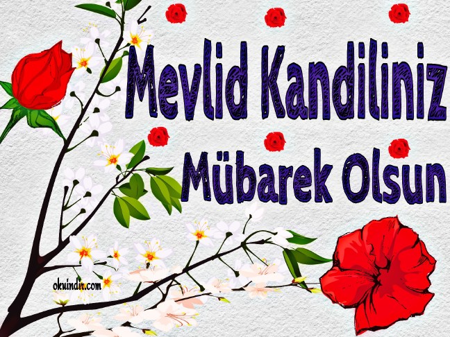 17-11/28/20-1511871833