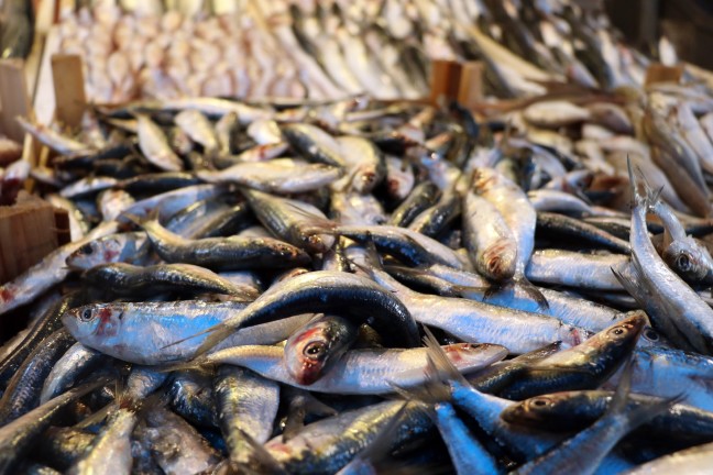 17-12/14/balik2-1513242003