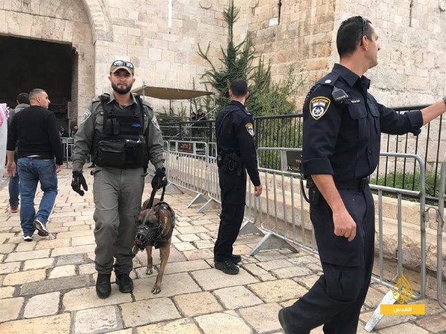 17-12/15/f6922025kudus3