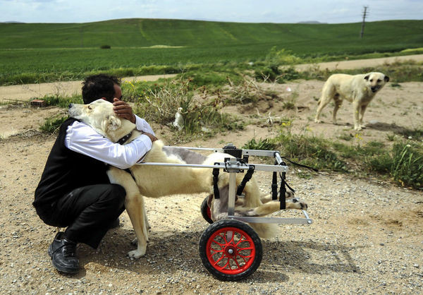 17-12/22/1766385_351f5c81953fb6906da3a0d19fd16e2f