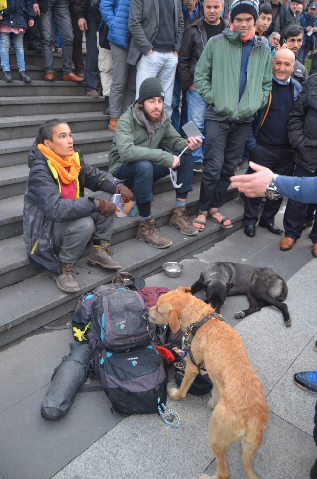 17-12/25/8582798-1514219934