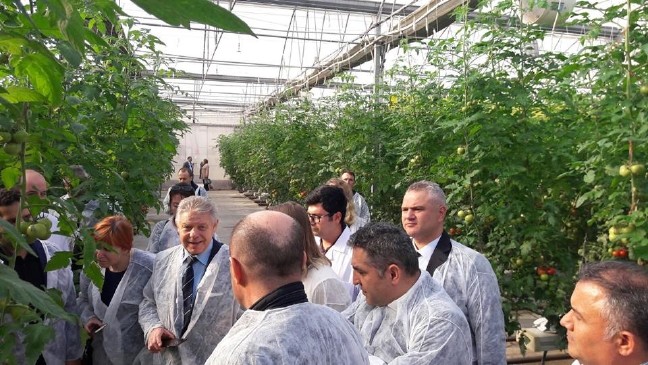 17-12/30/24-1514630874