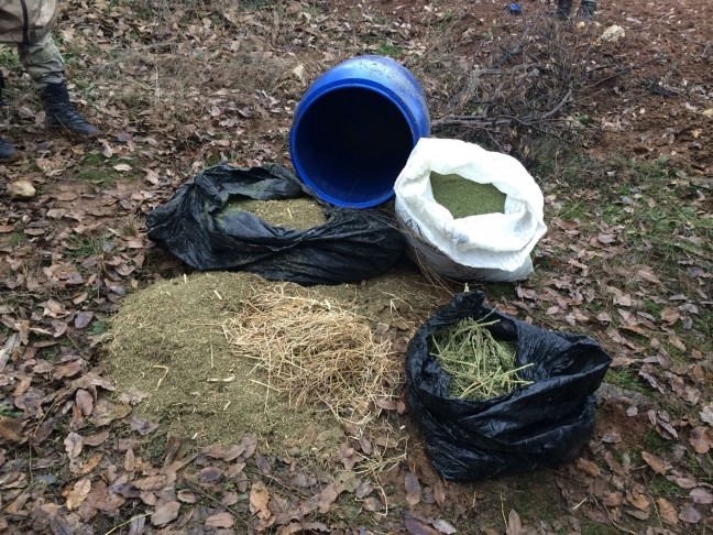 18-01/06/3-1515232686