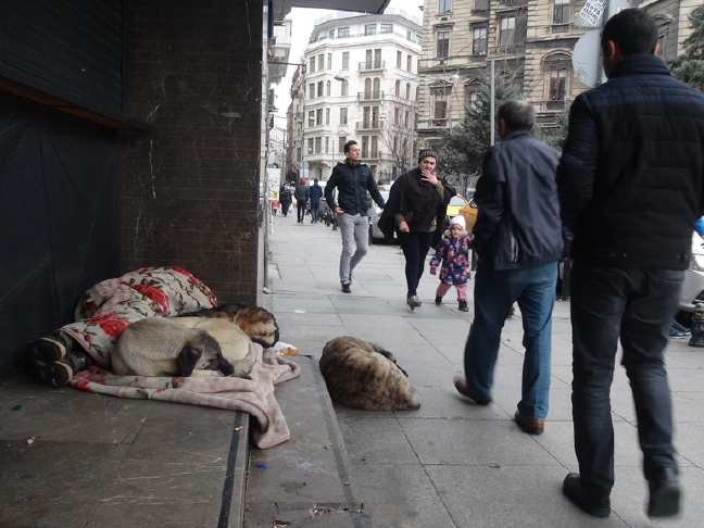 18-01/18/5a60cf4bc9de3e00b01ca394