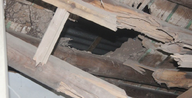 18-01/24/15temmuz-1516820439-1516824778