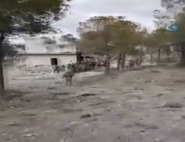 18-01/29/5a6ed325c03c0e064cb3279f