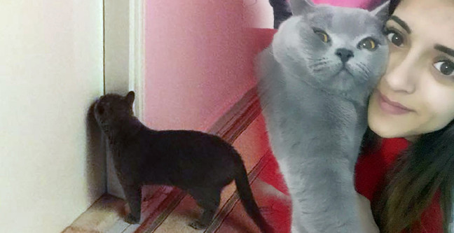 18-02/03/manset-recovered-copy-1517658990