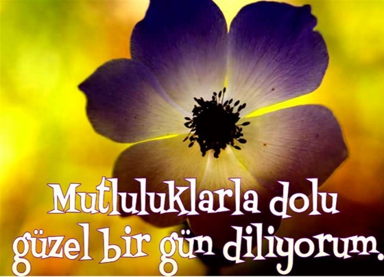 18-02/11/10subatgunaydin-mesaji3jpeg